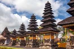 Bali Tours and Travels for senior Citizens